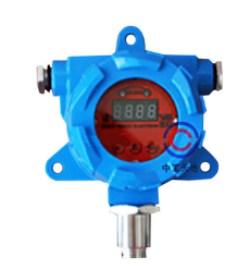 鲁伯特 气体检测仪 TD-G 硫化氢探测器/H2S气体探测器 品质可靠