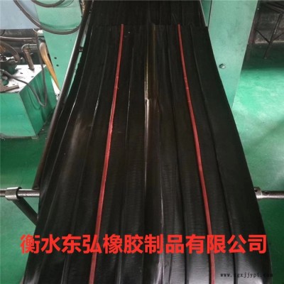 东弘中埋式止水带遇水膨胀外贴式止水带水带钢边止桥梁隧道橡胶止水带