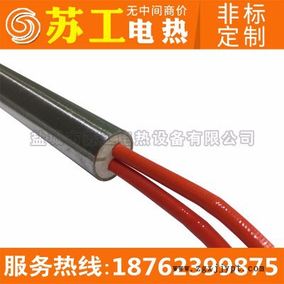 【苏工电热】不锈钢模具加热管 硫化机加热棒 220V/1.2KW模具干烧加热管 举报 仿进口高功率单头加热管