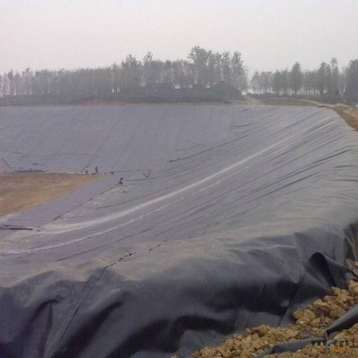 中齐阜康市EVA土工膜 PE防渗膜 诚信经营 专业生产  **