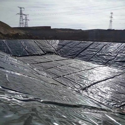 沅江 白色防渗膜 HDPE土工膜 高密度聚乙烯土工膜