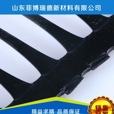 菲博瑞德 出售HDPE单向塑料土工格栅  现货直销高品质单向塑料 ** hdpe土工格栅