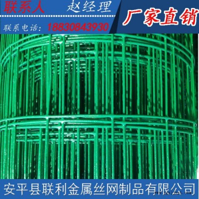 河北联利pvc荷兰网 浸塑铁丝网 涂塑围网现货