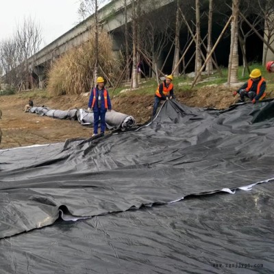 HDPE土工膜 污水处理土工膜 垃圾填埋场土工膜 德州厂家供应 规格齐全
