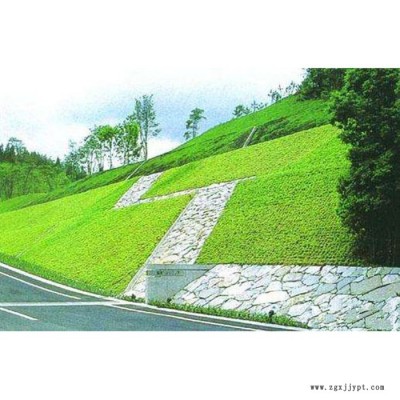 供应CE111土工网 软土地基加筋HDPE土工网