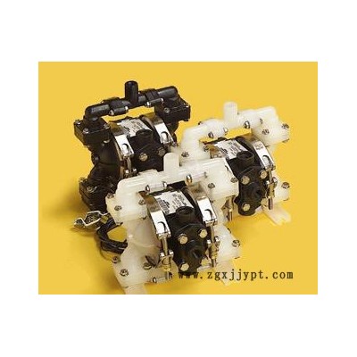 E5PP6X669A  Versa-MATIC 隔膜泵 威马