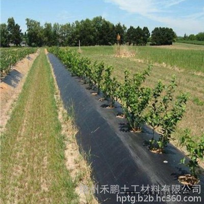 禾鹏 防草布厂家PP防草布价格