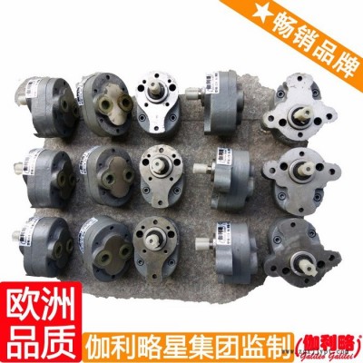 cbgj齿轮油泵 cbk1010齿轮泵 cbb齿轮油泵 楚
