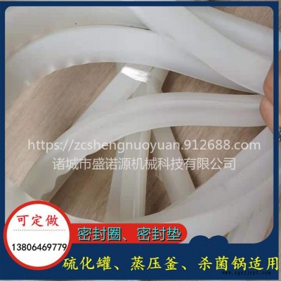 厂家批发 硫化罐密封圈厂家  1700密封圈供应商  盛诺源  O型圈