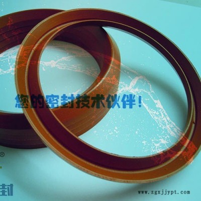 厂家专业生产氟胶V形密封圈 氟胶组合V形圈 FKM密封圈规格 组合氟胶V组合工况