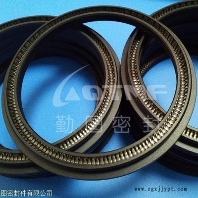 耐磨弹簧密封圈 轴用弹簧蓄能密封圈 平衡密封圈