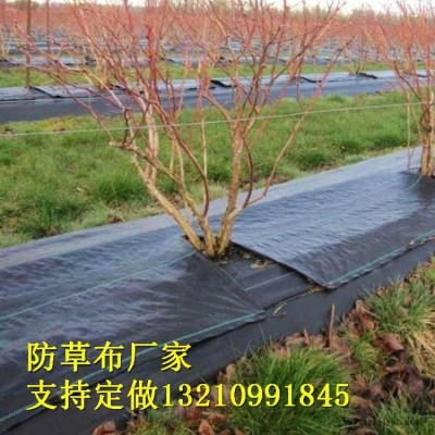 山东德州宇润土工材料厂家-加工定制防草布工农业用塑料制品编织防草布-可降解果树果园防草布果园园林防草布-花卉防草专用布
