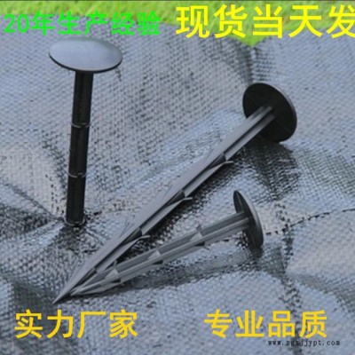 大棚防草布园艺地布除草布 果园防草布育苗地布地钉