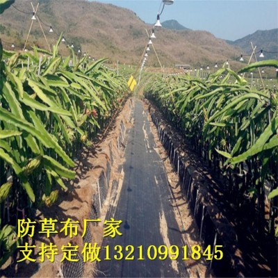 PP-PE防草布厂家 定制黑色防草布/除草布/园艺地布/可降解果树果园防草布 花卉防草专用布