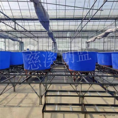 滚塑加工车间化养殖桶 鱼菜共生大型养殖池 塑料孵化培育桶厂家