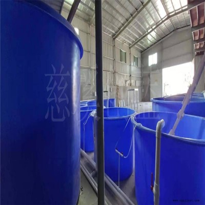 室内循环水培育桶 鱼苗孵化桶 水产养殖桶 滚塑加工