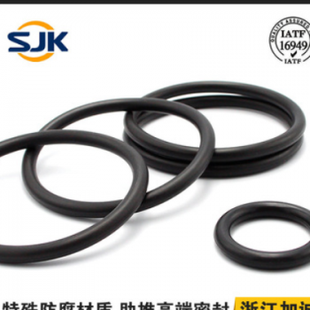SJK半导体用耐高温330度FFKM全氟醚密封圈 低压变氟胶KalrezO型圈