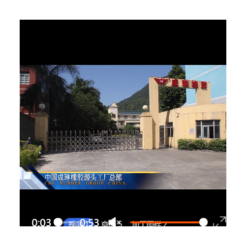 成琳橡胶 透明定制6-8mm饮水机食品级硅胶管耐高温硅胶水族排气管