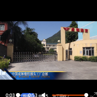 成琳橡胶 透明定制6-8mm饮水机食品级硅胶管耐高温硅胶水族排气管