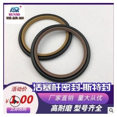 聚四氟 斯特封 活塞杆专用密封 耐磨耐高压耐高温