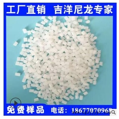 ppa尼龙 PPA高温尼龙 抗变形抗蠕变 ppa耐高温高压 替代进口杜邦