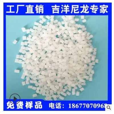 ppa尼龙 PPA高温尼龙 抗变形抗蠕变 ppa耐高温高压 替代进口杜邦