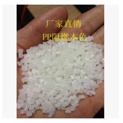 厂家直销 PP阻燃防火 聚丙烯 本色 钛白 汽车配件塑胶原料粒子
