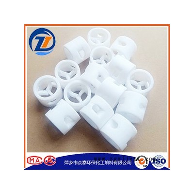众泰   PTFE鲍尔环  白色鲍尔环