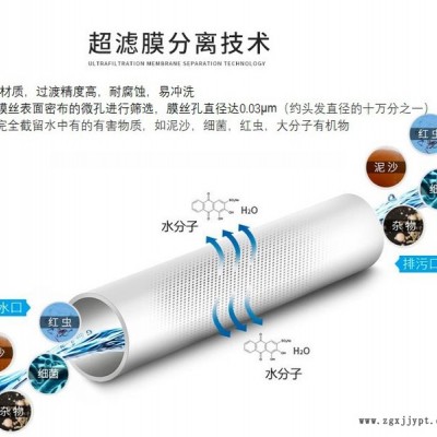 UF超滤膜  PVDF超滤膜，PVDF材质膜丝  柱式超滤膜，替代2860