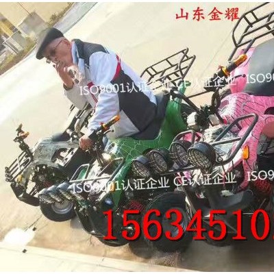 景区农场游乐卡丁车 大型卡丁车 越野卡丁车 动力强悍越野轮胎