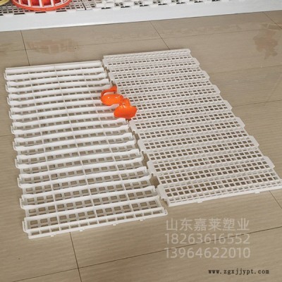 嘉莱塑料漏粪板鸡用塑料漏粪板养殖塑料漏粪板厂家直供鹅塑料漏粪板鸭用塑料漏粪板规格大孔