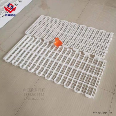 山东鹅塑料漏粪板厂家塑料漏粪板鸡用塑料漏粪板鸡鸭鹅通用漏粪板批发