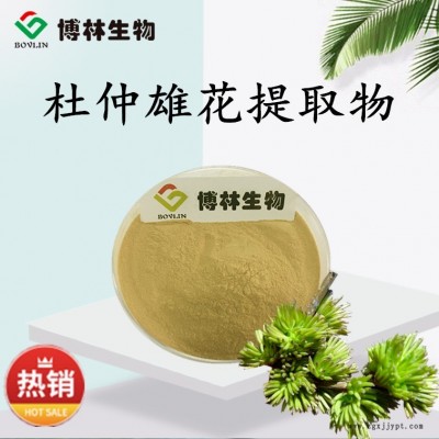 杜仲雄花提取物10:1 杜仲雄花粉 杜仲雄花萃取物 新资源食品原料