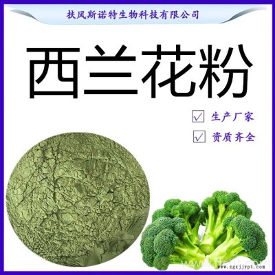 西兰花粉 98%西兰花粉 水溶性西兰花喷雾干燥粉 斯诺特现货