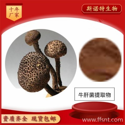 牛肝菌提取物 牛肝菌多糖  200目食用菌粉 斯诺特现货