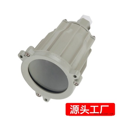 防爆视孔灯 BSD96化学容器LED视孔灯 12V24V36V220V反应釜视镜灯