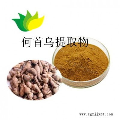 何首乌提取物植物原料粉