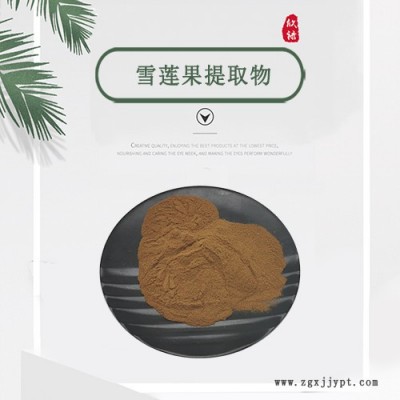 雪莲果提取物 10:1  雪莲果萃取粉原料 含果寡糖 厂家直供