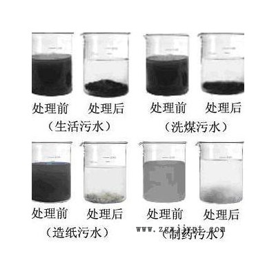 临水环保 LS-8808 重庆阳离子聚丙烯酰胺 污水处理药剂