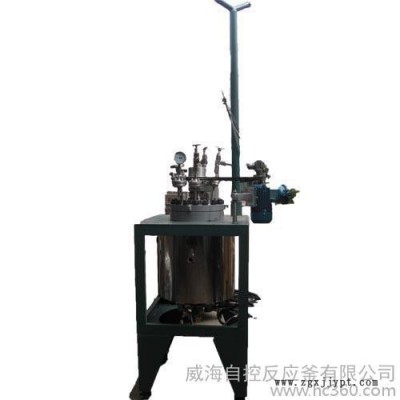 供应 自控反应釜 威霸聚丙烯反应釜