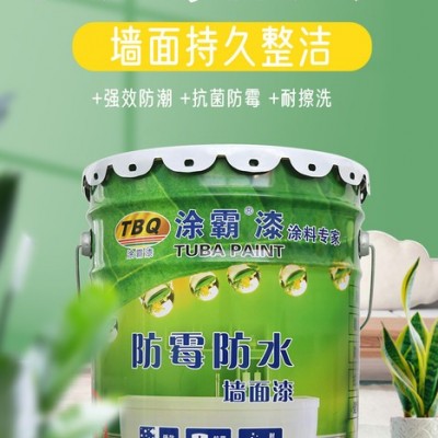 乳胶漆色彩 外墙乳胶漆涂料厂家 外墙乳胶漆批发