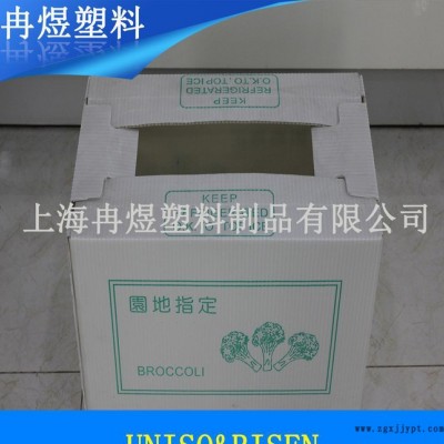 塑料中空板箱，PP中空板箱，环保塑料周转箱 生产