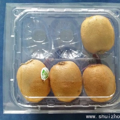 一次性水果包装盒、一次性透明蔬菜包装盒 广舟包装专业设计定制果蔬包装盒