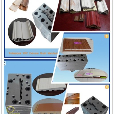 WPC木塑挤出集成墙板模具发泡模具