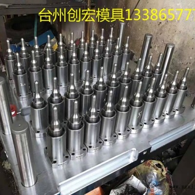 创宏 瓶吹模具 瓶胚模具 瓶盖模具  吹塑模具 塑料瓶模具 饮水瓶模具 模具厂家