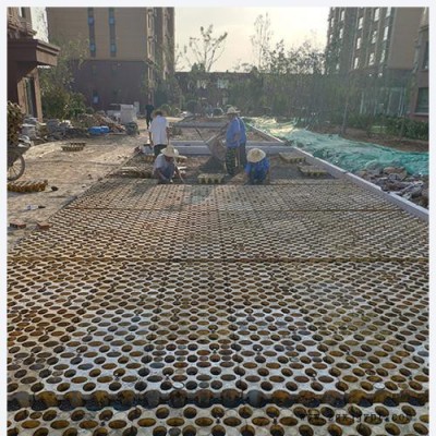 高承载植草地坪模具  植草地坪模具  高承载植草地坪  中创华美