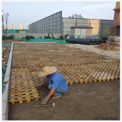 植草地坪 高承载植草地坪 植草地坪模具 植草地坪施工 中创华美