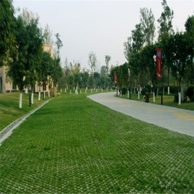 高承载植草地坪 现浇植草路面 植草地坪模具 中创华美