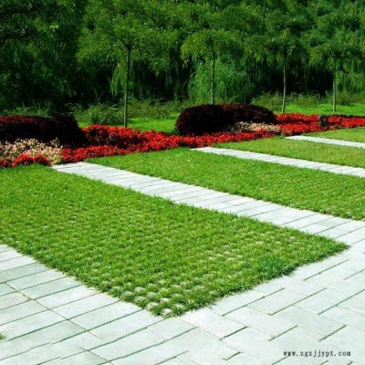 现浇植草地坪 天津植草地坪 天津地坪模具 植草地坪施工 中创华美