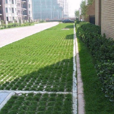 现浇植草地坪 植草地坪厂家 延安植草地坪停车场 延安植草地坪模具 中创华美